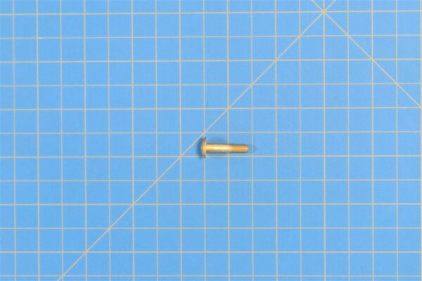 120-220-3P14 - Screw