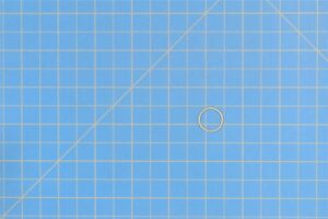 3004904 - Ring, Retaining