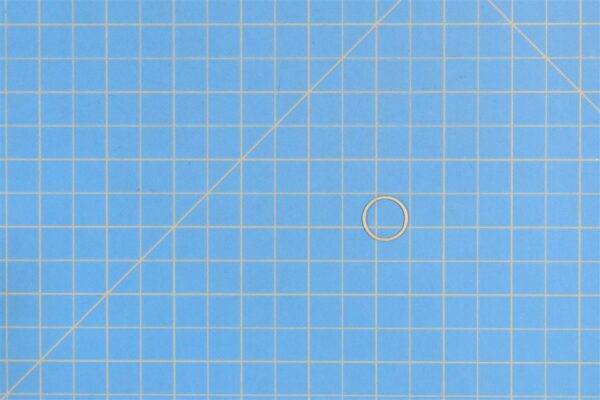3004904 - Ring, Retaining