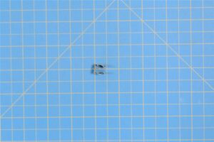 M24066/2-308 - Clip, Engine Door