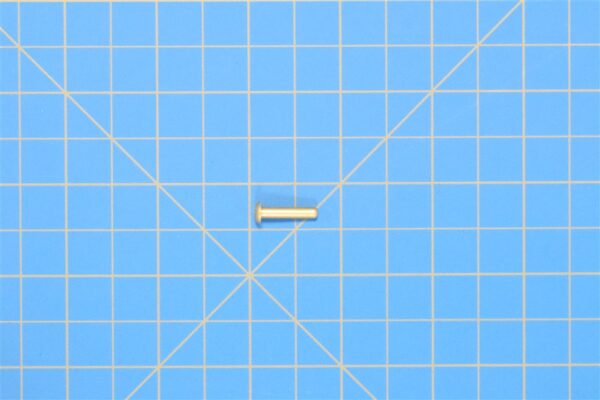 MS20470AD4-10 - Rivet