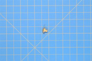MS20470AD6-4 - Rivet, 1 Pound