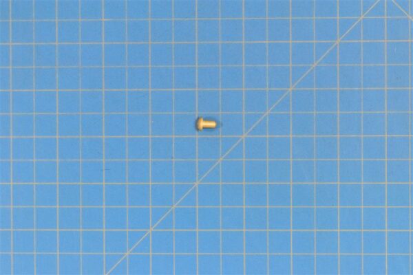 MS20470E5-5 - Rivet, 1 Pound
