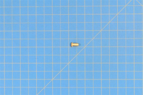 MS20470E5-6 - Rivet, 1 Pound