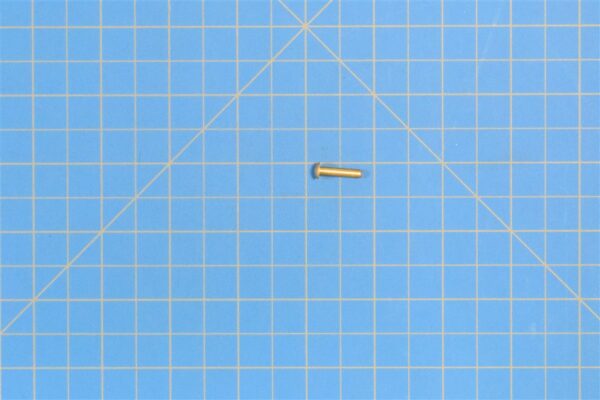 MS20613-4P10 - Rivet