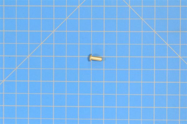 MS20615-5MP7 - Rivet, 1 Pound