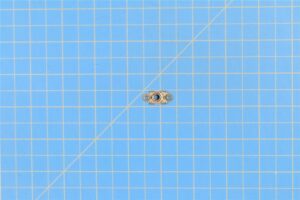 MS21047L3K - Nut Plate