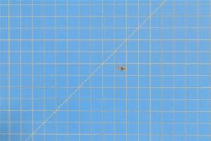 MS21069L02 - Nut Plate