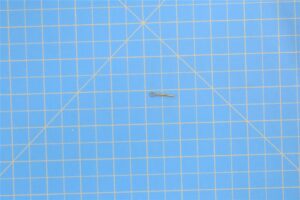 MS24665-151 - Pin, Cotter