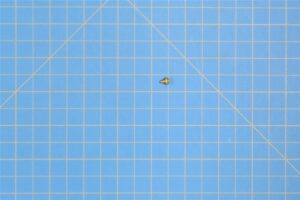 MS35206-212 - Screw