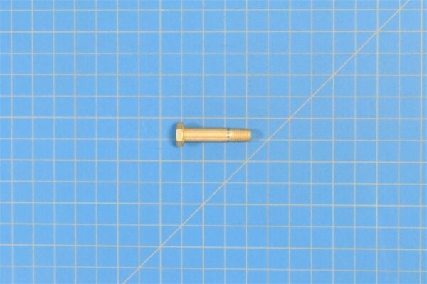 NAS6605-17X - Bolt