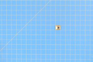 SL210-06-1 - Clip Nut