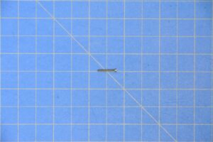 PN_0407-25_1