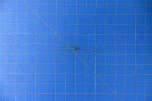 2504335-7.jpg
