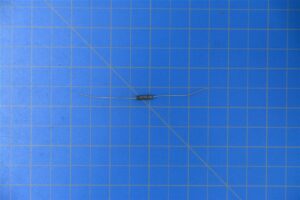 2504335-8.jpg