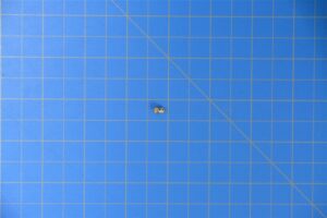 7-0004-21011.jpg 7-0004-21011.jpg