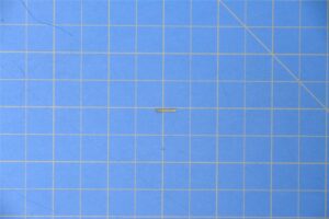 c16081-3.jpg c16081-3.jpg