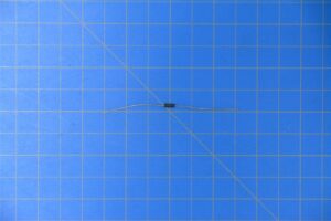 rn55d1331d.jpg