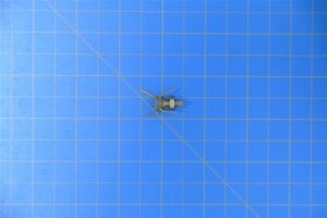 1711651-1-1.jpg 1711651-1-1.jpg