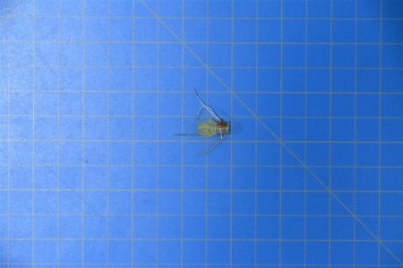 17431-0004-1.jpg 17431-0004-1.jpg