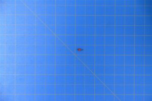 1751866-2-1.jpg 1751866-2-1.jpg