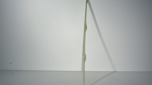 206-031-003-033s-1.jpg