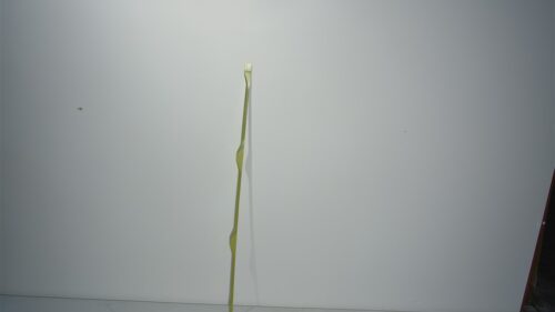 206-031-003-045s-1.jpg