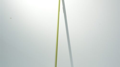 206-031-106-021s-1.jpg
