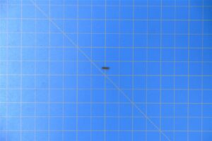 311-0591-000-1.jpg 311-0591-000-1.jpg