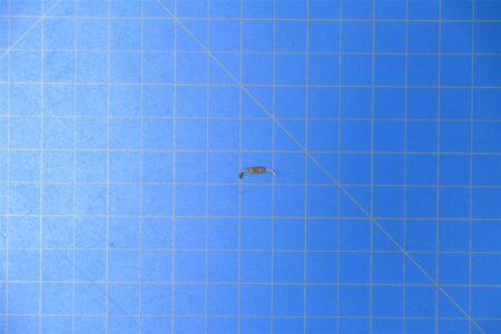 436-0781-1.jpg 436-0781-1.jpg