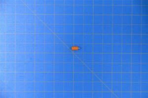 45815-0856-1.jpg 45815-0856-1.jpg