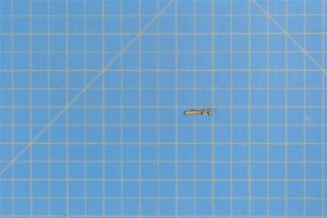 60619-1-1.jpg 60619-1-1.jpg