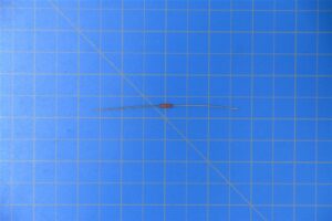 705-1454-790-1.jpg 705-1454-790-1.jpg