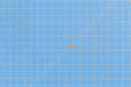 M3902934-440.jpg M3902934-440.jpg