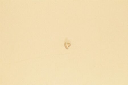 ms25470ad5-3-5-1.jpg ms25470ad5-3-5-1.jpg