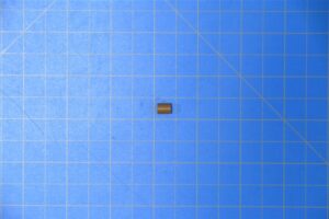 ra8583-1.jpg ra8583-1.jpg