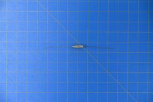 ts2k15-226a-1.jpg ts2k15-226a-1.jpg