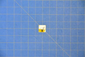 PN_SS9013-1961_1 PN_SS9013-1961_1