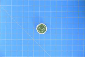 PT1H-14-15P PT1H-14-15P